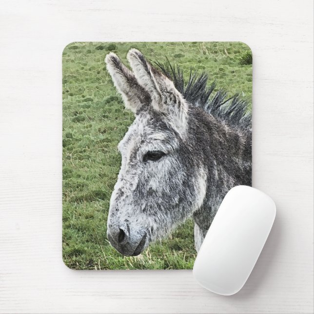 CUTE DONKEY MUSMATTA (Med mus)