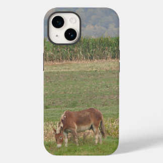 Cute Donkey on Farming Fält Grazing in Grass