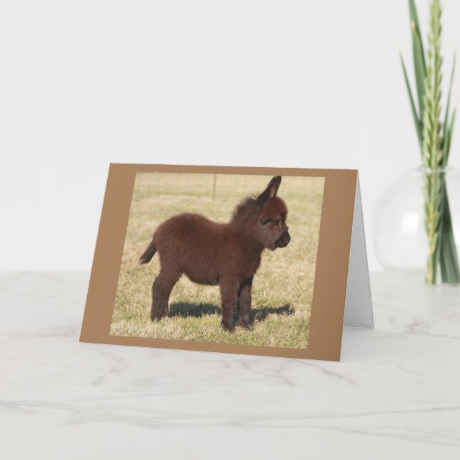 CUTE DONKEY SÄGER **GRATTIS PÅ FÖDELSEDAGEN TILL D KORT (Framsida)