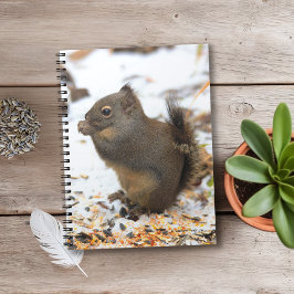 Cute Douglas Squirrel Enjoeing a Winter Feast Anteckningsbok