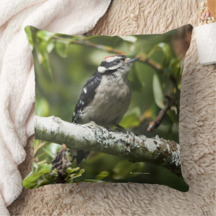 Cute Downy Woodpecker Bird i Pear Träd Kudde