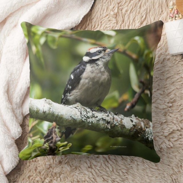 Cute Downy Woodpecker Bird i Pear Träd Kudde (Filt)