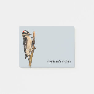 Cute Downy Woodpecker på Fruit Träd Post-it Block