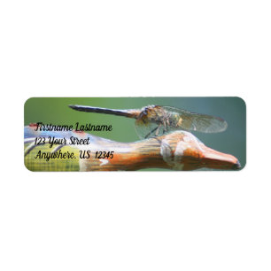 Cute Dragonfly Co Pilot Nature Adress Returadress Etikett