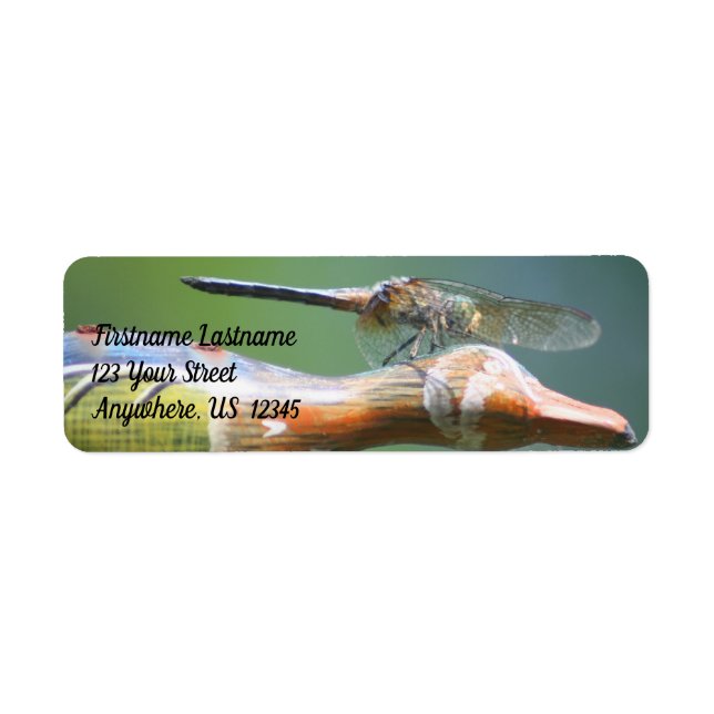 Cute Dragonfly Co Pilot Nature Adress Returadress Etikett (Framsidan)