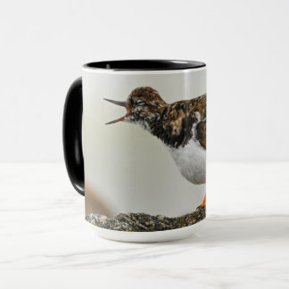 Cute Dramatic Ruddy Turnstone Georgia-fotografi Mugg