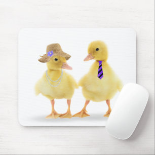 Cute Duckling par på vit Musmatta
