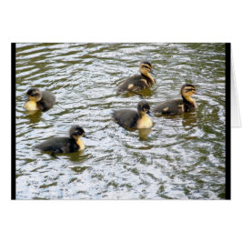 Cute Ducklings Swimming Hälsningskort