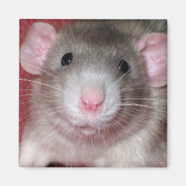 Cute Dumbo Råtta Magnet