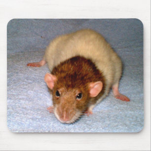 Cute Dumbo Råtta Mousepad Musmatta