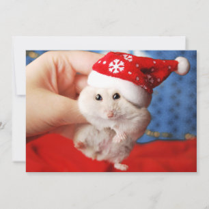 Cute dwarf hamster Tutku med Jultomten hat Julkort