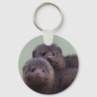 Cute Dwarf Mongoose Pair