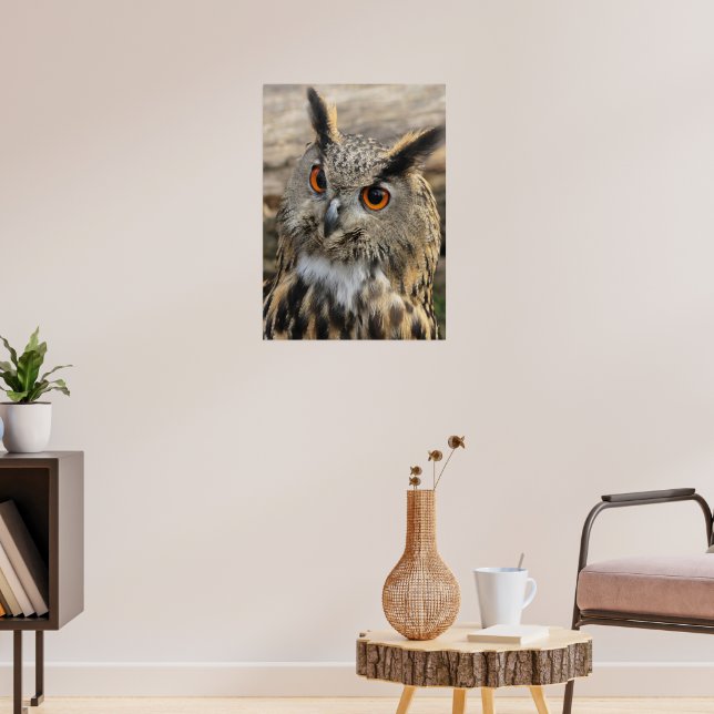 Cute eagle owl poster (Vardagsrum 3)