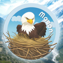 Cute Eagles Nest Kids Namn Wildlife Animal Nature