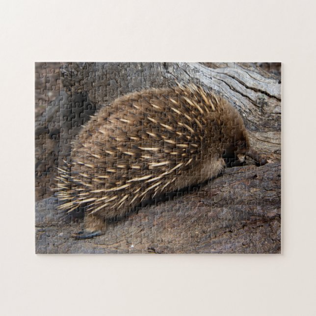 Cute Echidna Australia, Childrens 252 delar Pussel (Horisontell)