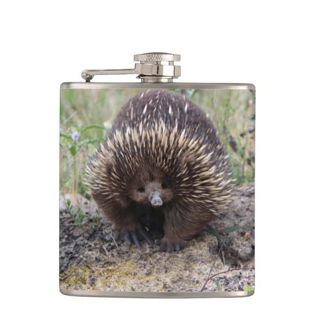 Cute Echidna från Australien Fickplunta (Framsidan)