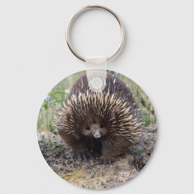 Cute Echidna från Australien Nyckelring (Framsida)