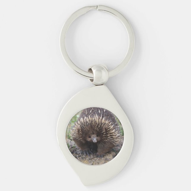 Cute Echidna från Australien Swirl Silverfärgad Nyckelring (Framsidan)