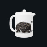 Cute echidna med illustration av biens tecknad<br><div class="desc">Den här roligten har en snygg bild som skapar vänner med ett bi. Bra Australian humor i tecknad stil.</div>