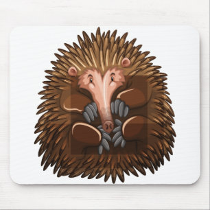 Cute echidna musmatta