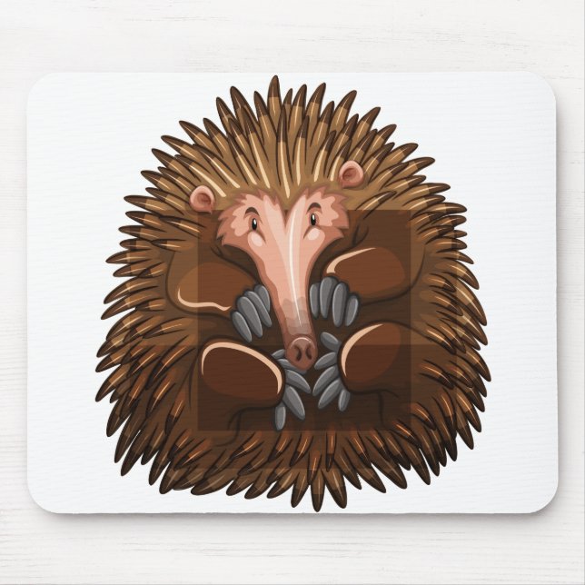 Cute echidna musmatta (Framsidan)