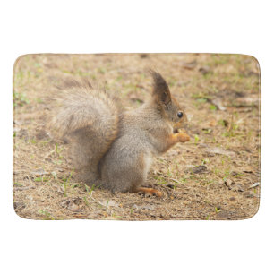 Cute-ekorren äter ett foto från nöt badrumsmatta