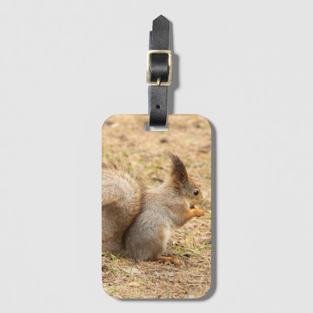 Cute-ekorren äter ett foto från nöt bagagebricka (Framsida vertikal)