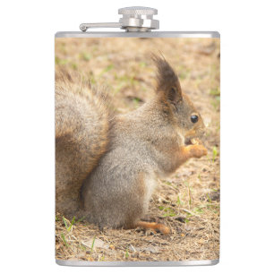 Cute-ekorren äter ett foto från nöt fickplunta