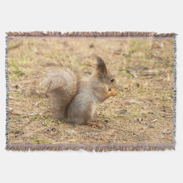 Cute-ekorren äter ett foto från nöt filt (Framsidan)