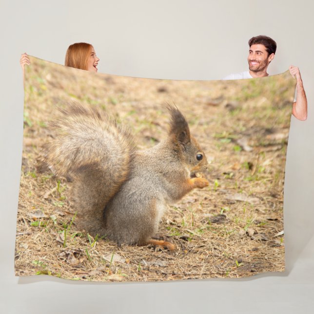 Cute-ekorren äter ett foto från nöt fleecefilt (På plats)