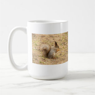 Cute-ekorren äter ett foto från nöt kaffemugg