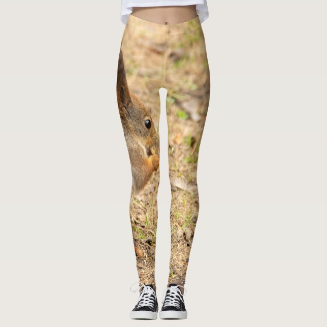 Cute-ekorren äter ett foto från nöt leggings (Framsida)