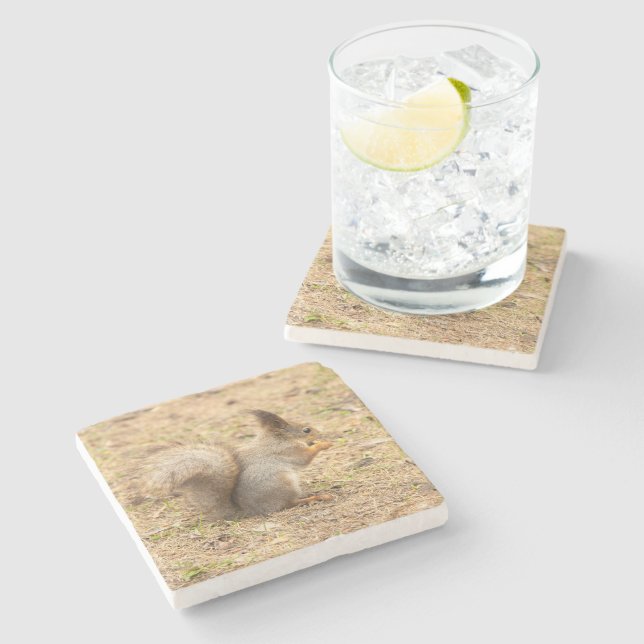 Cute-ekorren äter ett foto från nöt stenunderlägg (Sidan)