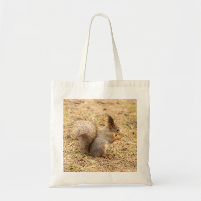 Cute-ekorren äter ett foto från nöt tygkasse (Framsidan)