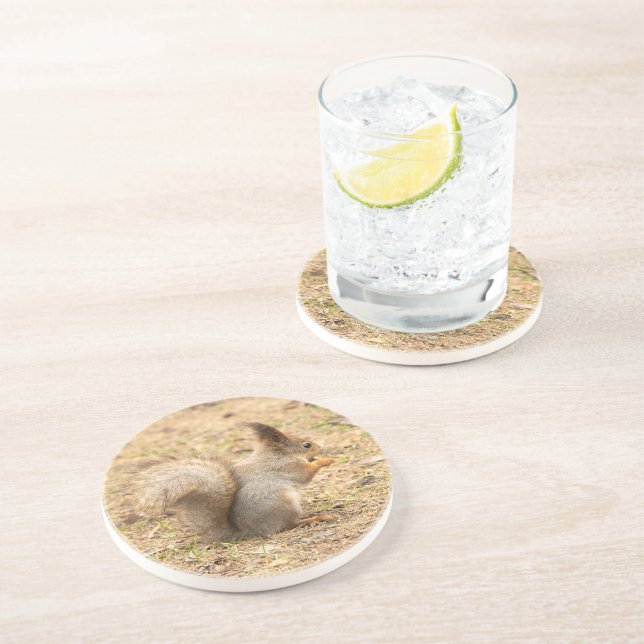 Cute-ekorren äter ett foto från nöt underlägg (Sidan)