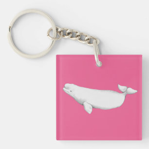 Cute Elegant Beluga Whale Bok Illustration Rosa