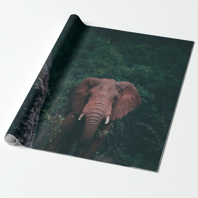 CUTE ELEPHANT PRESENTPAPPER (Utrullad)