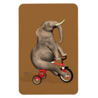 Cute Elephant Riding A Tricle