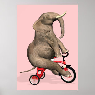 Cute Elephant Riding A Tricle Poster