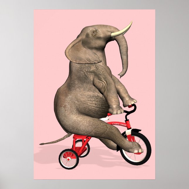 Cute Elephant Riding A Tricle Poster (Framsidan)