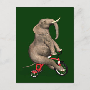Cute Elephant Riding A Tricle Vykort