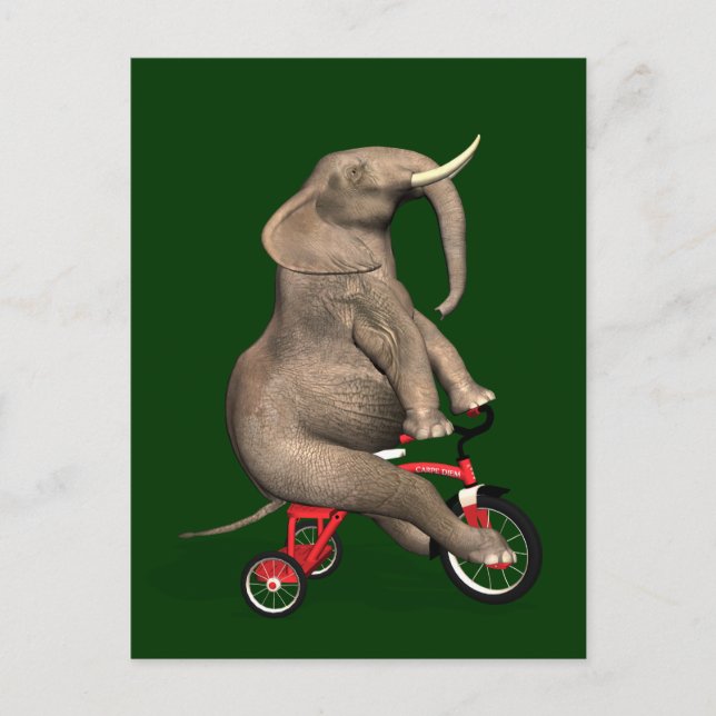 Cute Elephant Riding A Tricle Vykort (Framsida)