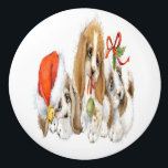 Cute ELLER Crafty Ceramic Knob Knopp<br><div class="desc">Jag har fyra fler av den här serien på väg i kväll. De är värdefulla för vad som helst/var som helst, och de är underbara om du har kreativ hantverk. Jag ville göra något speciellt för vänner, men tyvärr gräver jag ut från en total förstörelse i våningen, fysiskt och ekonomiskt,...</div>