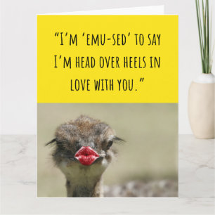 Cute Emu Bird Funny Valentine Cards Kort