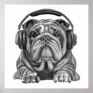 Cute Engelska bulldog med hörlurar Poster