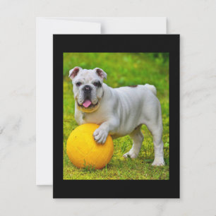 Cute English Bulldog Basketball Bulldog Älskare Gi Tack Kort