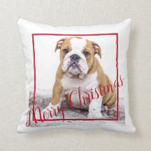 Cute English Bulldog God jul Helgdag Photo