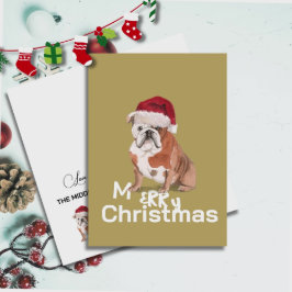 Cute English Bulldog i Santa Hat God jul