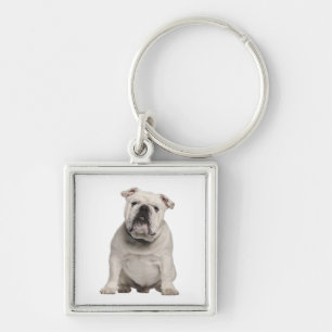 Cute English Bulldog Puppy Hund Keychain Fyrkantig Silverfärgad Nyckelring