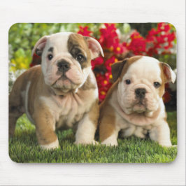 Cute English Bulldog Puppy Hundar Mousepad Musmatta